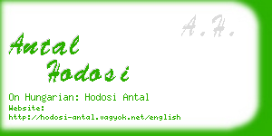 antal hodosi business card